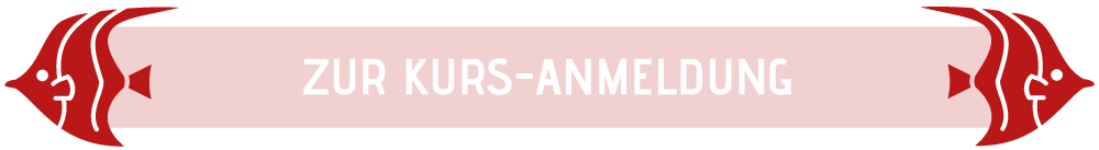 Button Zur Kurs-Anmeldung